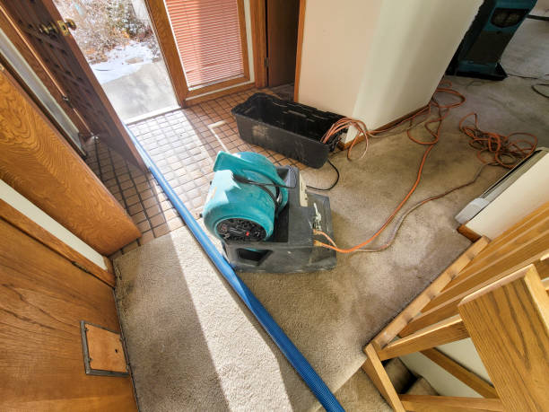 Best Water damage restoration mold remediation  in Iraan, TX